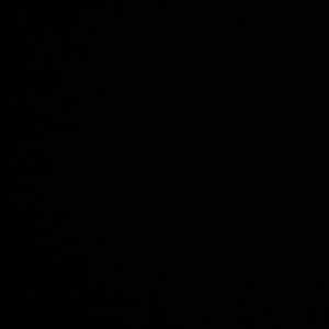 Meet your Posher, Devon